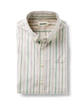 The Jack in Algiers Stripe