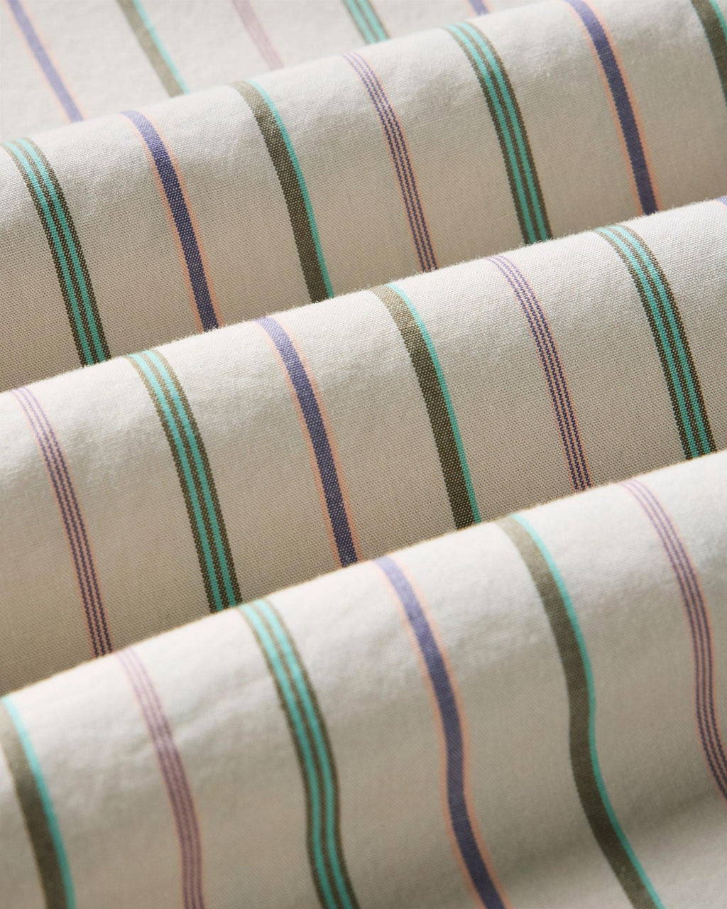 The Jack in Algiers Stripe