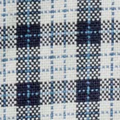 The Jack in Indigo Micro Check Oxford